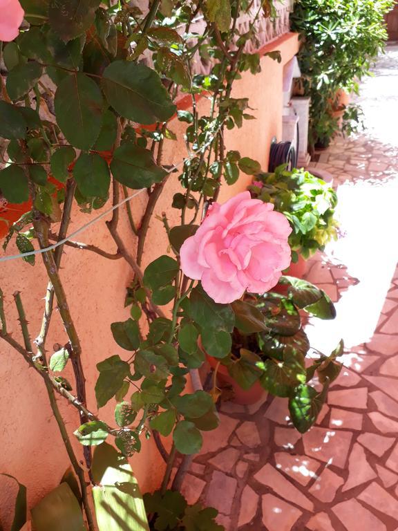 Krinelos Rooms Skala Eresou Ngoại thất bức ảnh